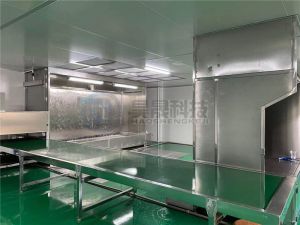 噴塑涂裝生產(chǎn)線